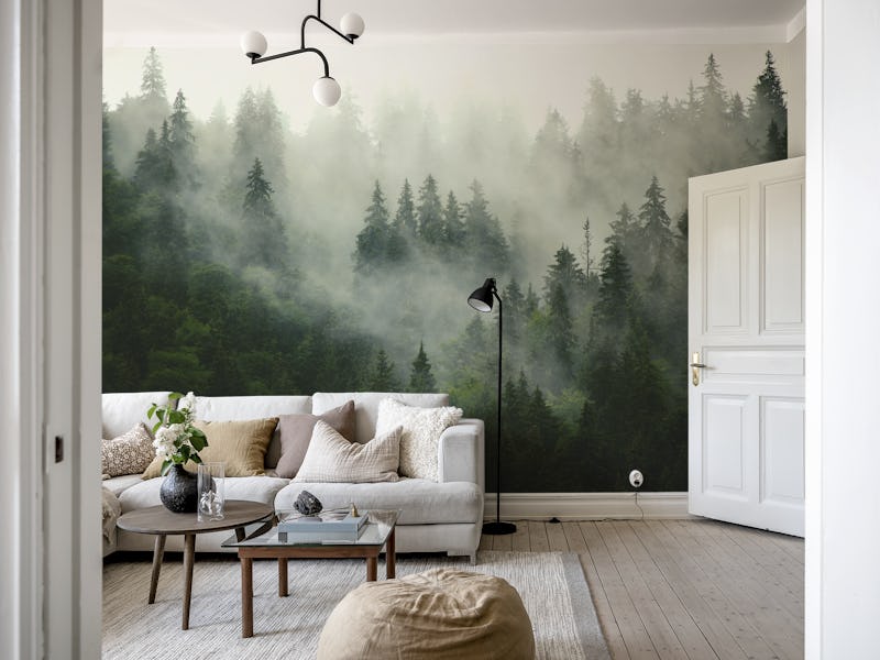 Misty forest green