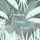 AndreaH_design